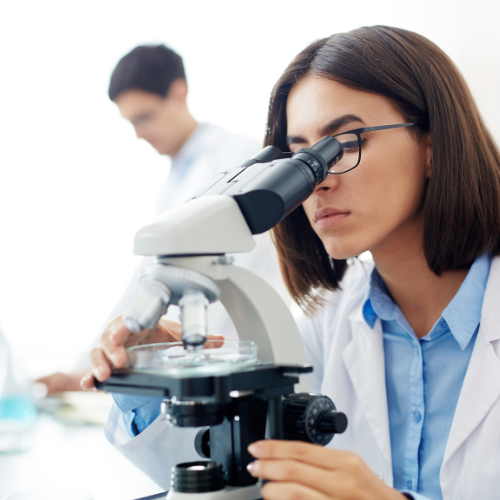 Medical Laboratories